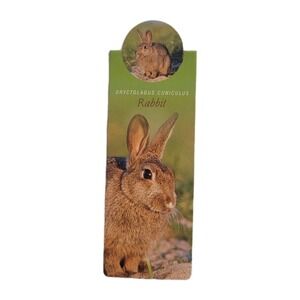 Cardmarks Bunny Rabbit Wild Animals Magnetic Magnet UK Company If #2407, Y2k 00s